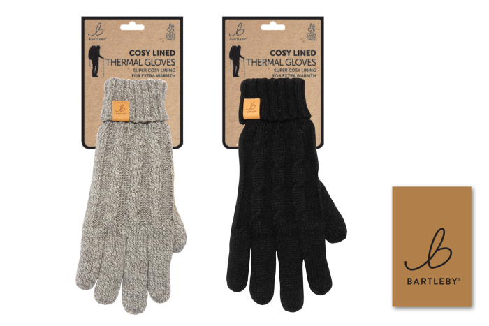 Mens Cosy Lined Thermal Gloves