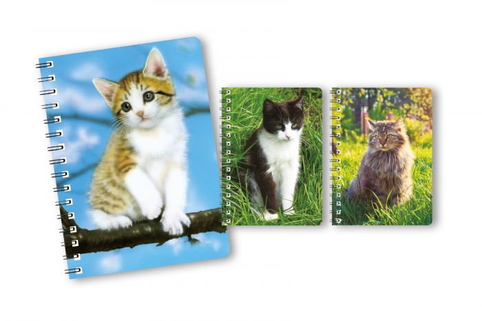 3d Lenticular Notebook - Playful Cats - Otterdene Products